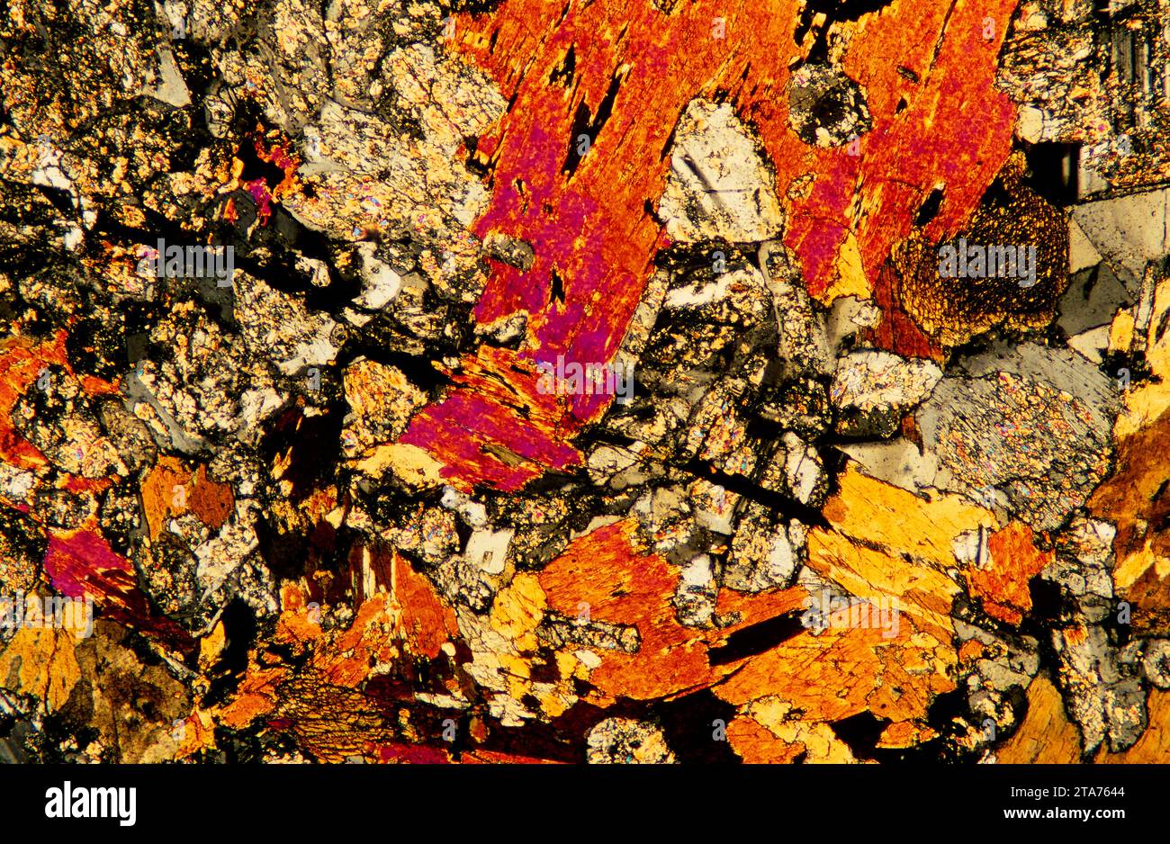 La diorite est une roche intrusive ignée intermédiaire entre le gabbro et le granite. Photomicrographe, section mince, lumière polarisée. Banque D'Images
