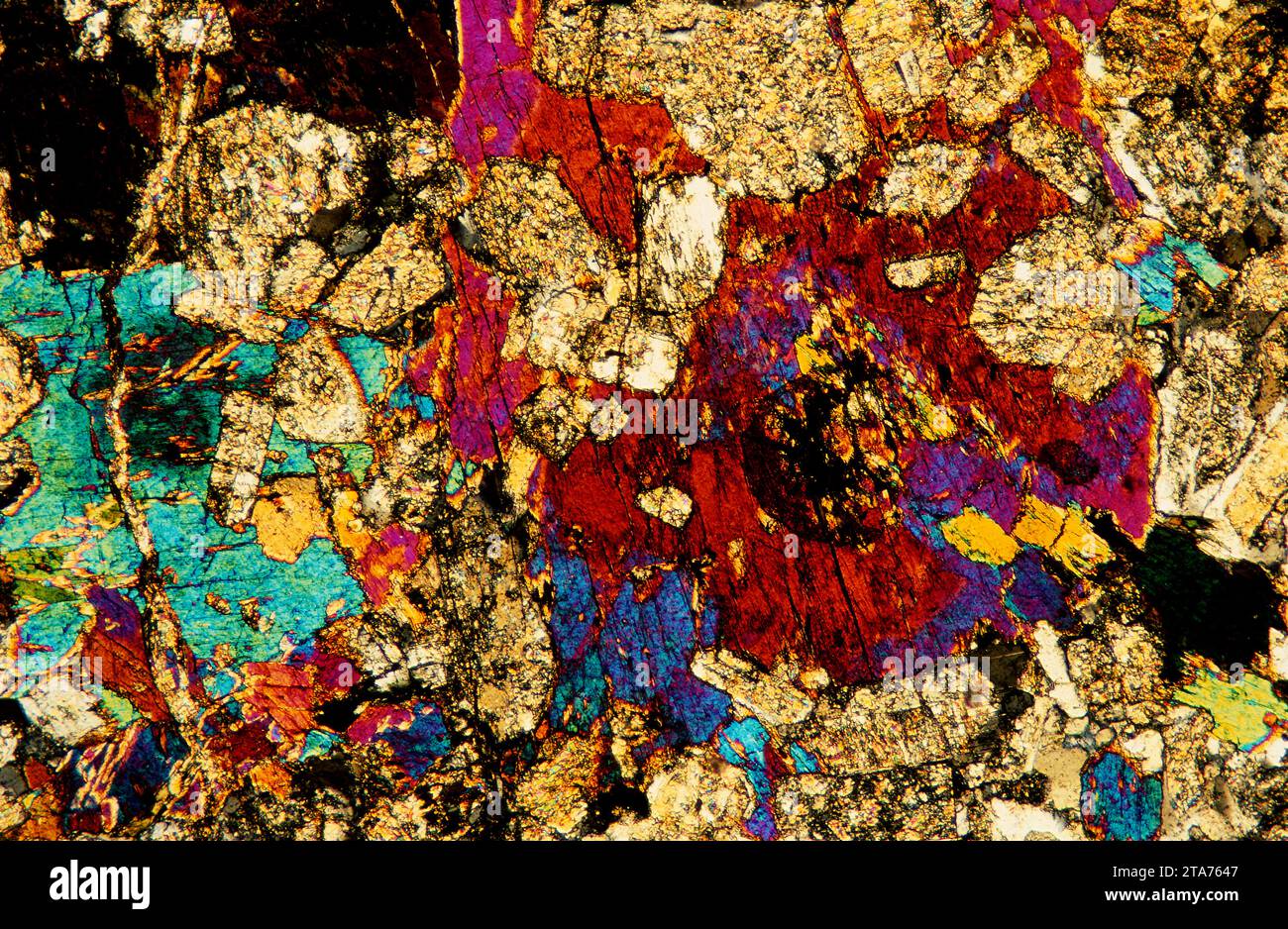 La diorite est une roche intrusive ignée intermédiaire entre le gabbro et le granite. Photomicrographe, section mince, lumière polarisée. Banque D'Images