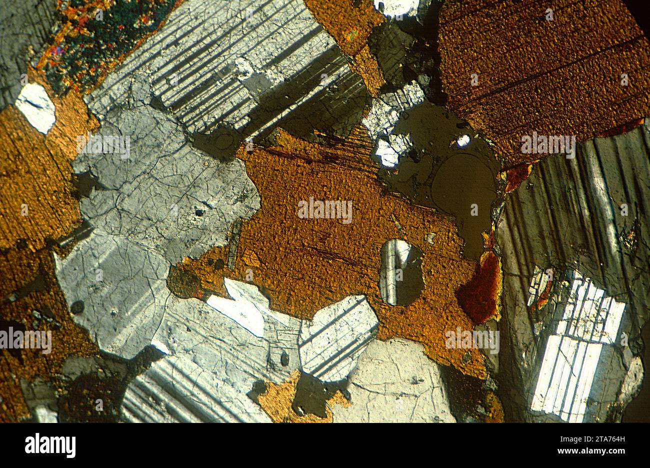 La diorite est une roche intrusive ignée intermédiaire entre le gabbro et le granite. Photomicrographe, section mince, lumière polarisée. Banque D'Images