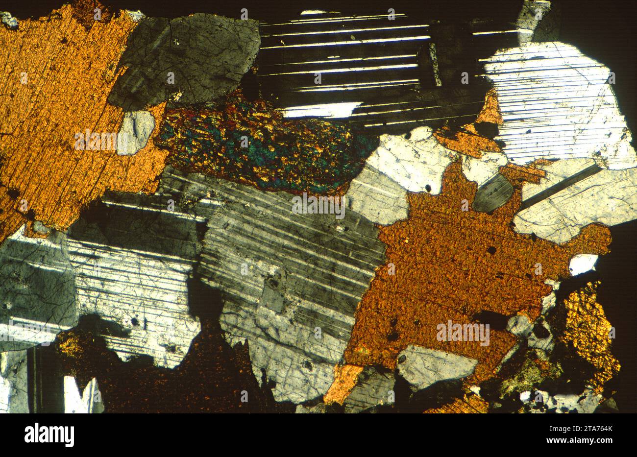 La diorite est une roche intrusive ignée intermédiaire entre le gabbro et le granite. Photomicrographe, section mince, lumière polarisée. Banque D'Images