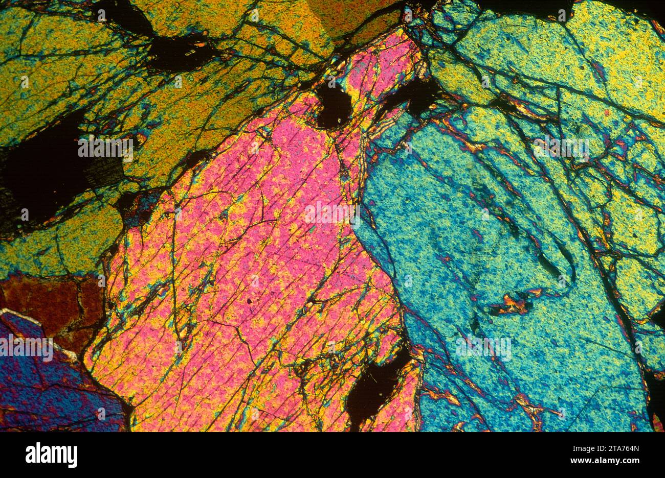 La dunite ou l'olivinite est une roche intrusive ignée ultramafique. Photomicrographe, section fine. Lumière polarisée. Banque D'Images