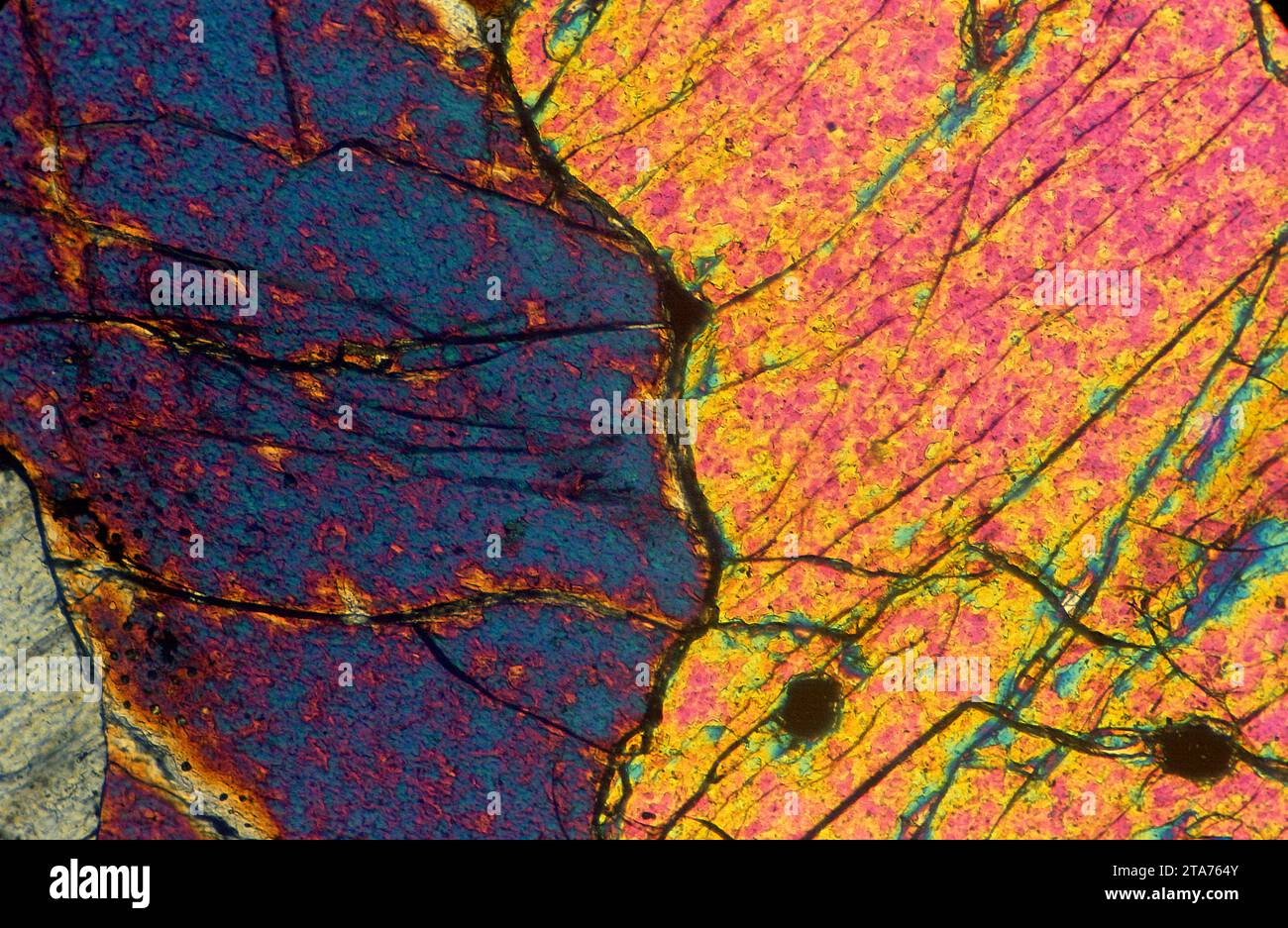 La dunite ou l'olivinite est une roche intrusive ignée ultramafique. Photomicrographe, section fine. Lumière polarisée. Banque D'Images
