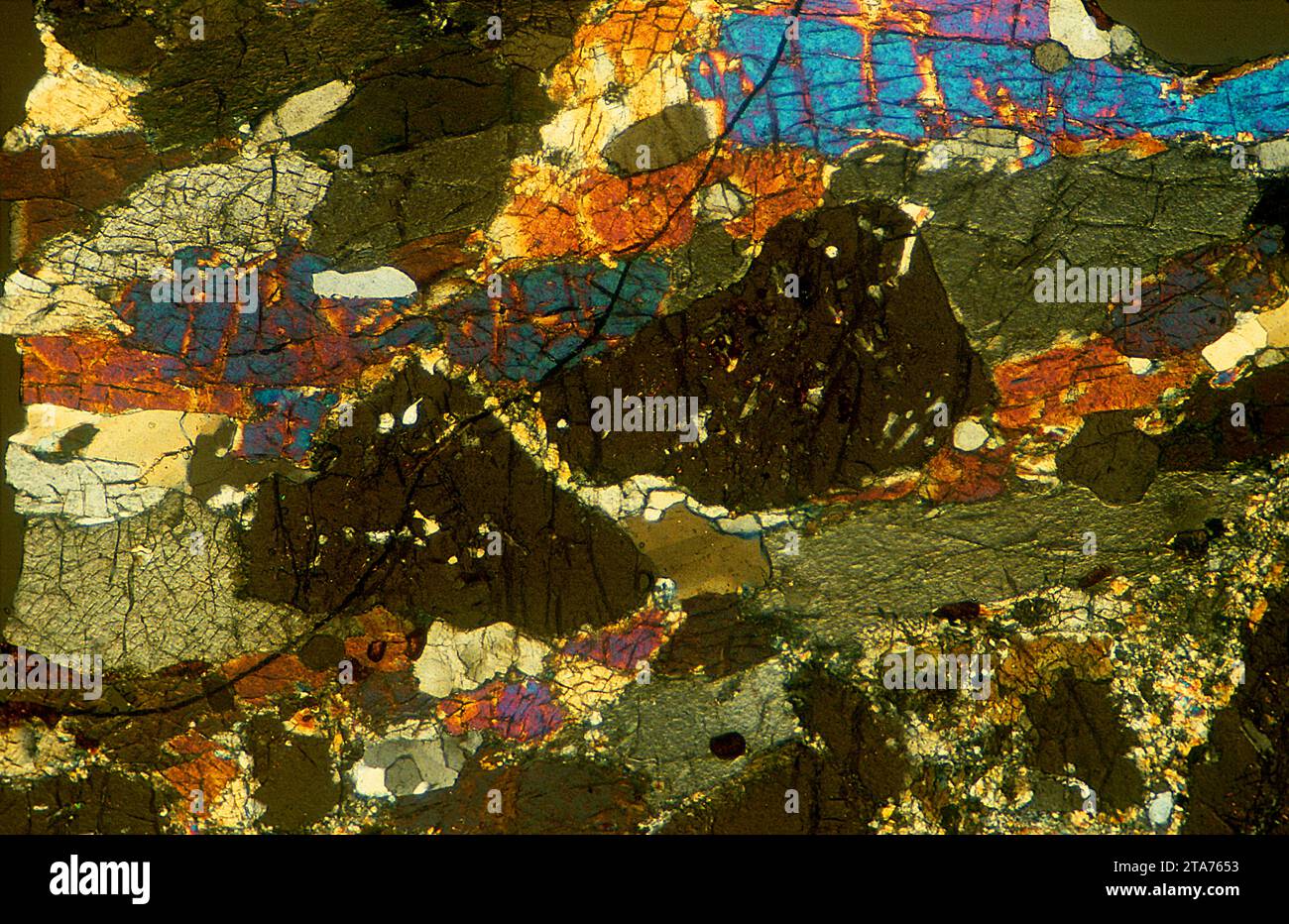 L'eclogite est une roche métamorphique. Photomicrographe, section mince, lumière polarisée. Banque D'Images