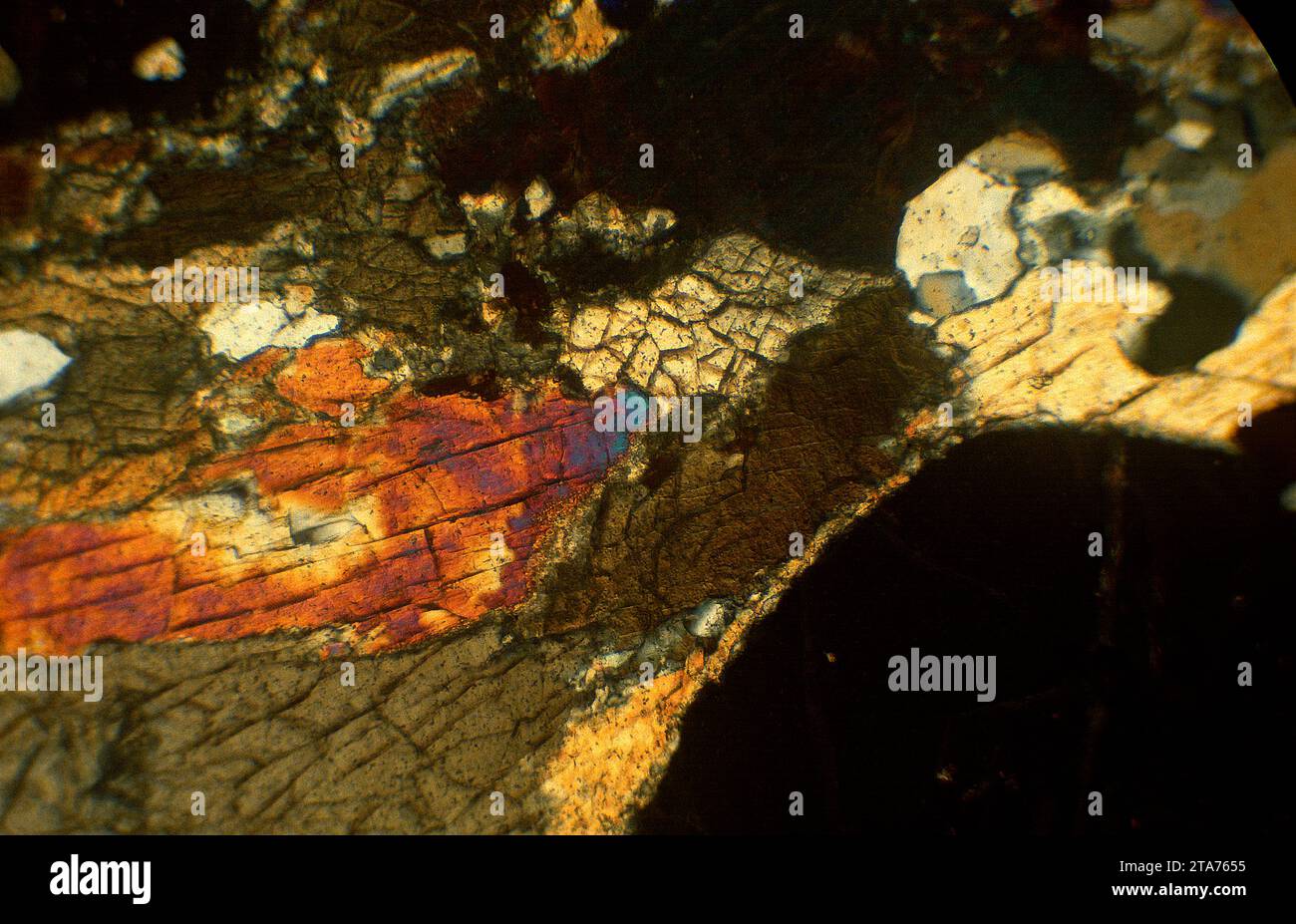 L'eclogite est une roche métamorphique. Photomicrographe, section mince, lumière polarisée. Banque D'Images