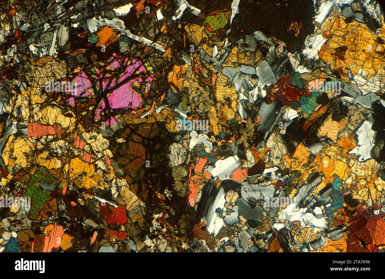 Gabbro est une roche intrusive ignée mafique. Photomicrographe, section mince, lumière polarisée. Banque D'Images