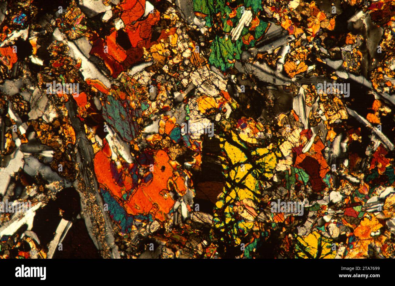 Gabbro est une roche intrusive ignée mafique. Photomicrographe, section mince, lumière polarisée. Banque D'Images