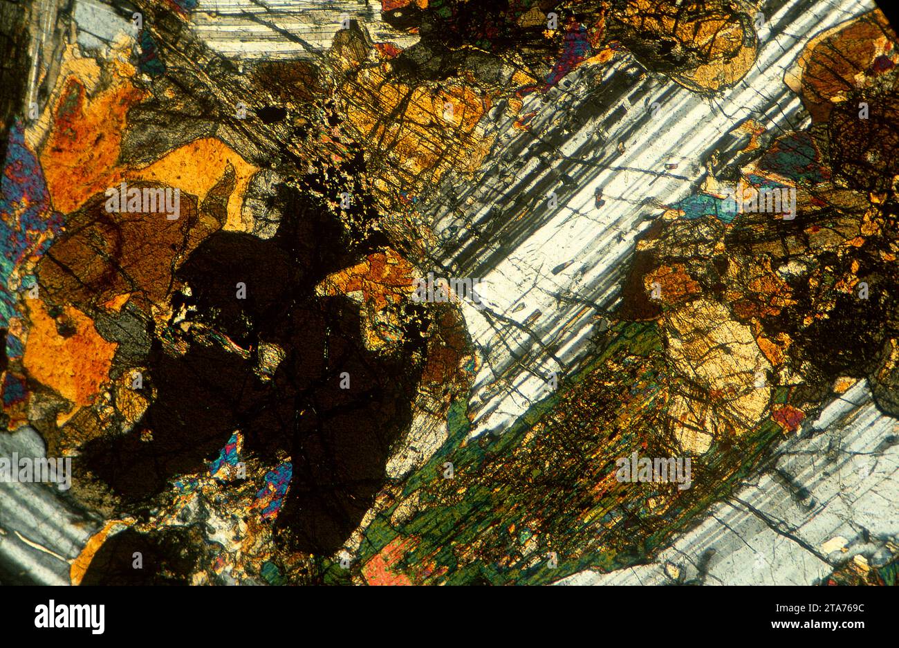 Gabbro est une roche intrusive ignée mafique. Photomicrographe, section mince, lumière polarisée. Banque D'Images