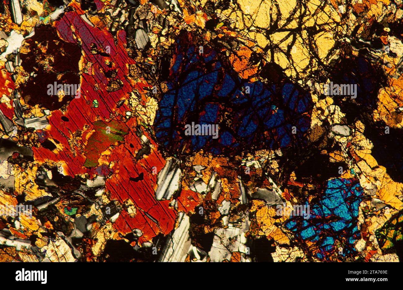 Gabbro est une roche intrusive ignée mafique. Photomicrographe, section mince, lumière polarisée. Banque D'Images