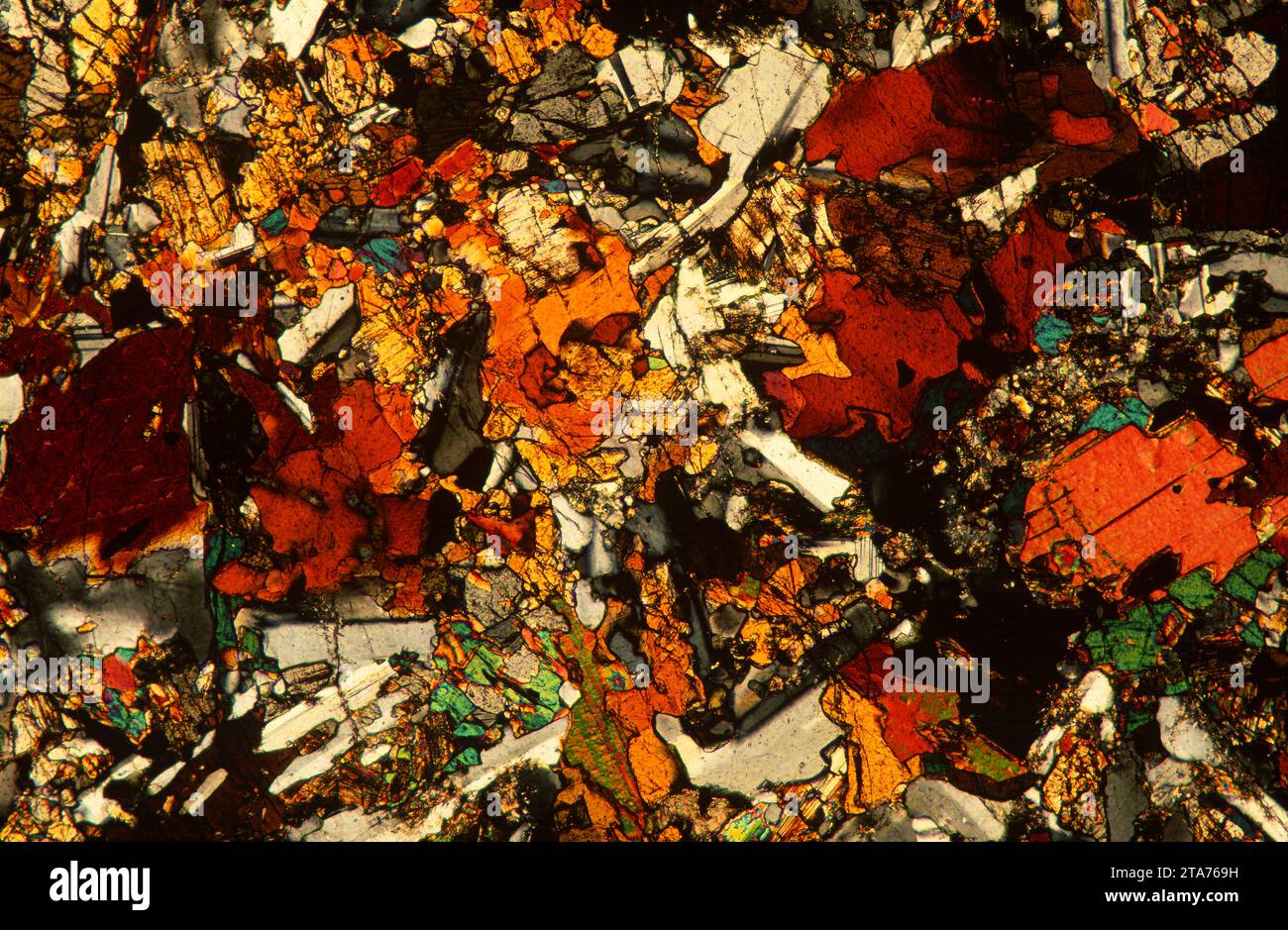 Gabbro est une roche intrusive ignée mafique. Photomicrographe, section mince, lumière polarisée. Banque D'Images