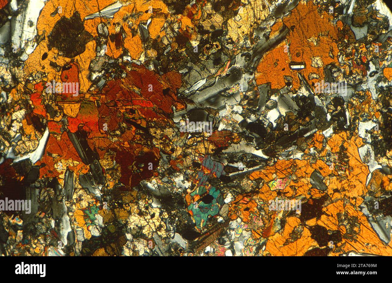 Gabbro est une roche intrusive ignée mafique. Photomicrographe, section mince, lumière polarisée. Banque D'Images
