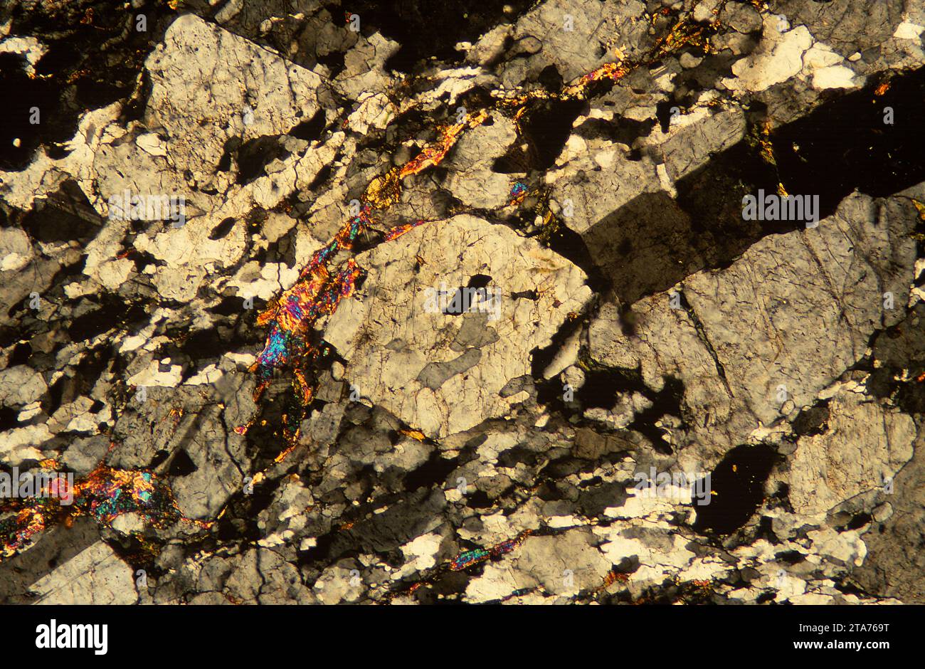 Le gneiss est une roche métamorphique à texture baguée. Photomicrographe, section mince, lumière polarisée. Banque D'Images