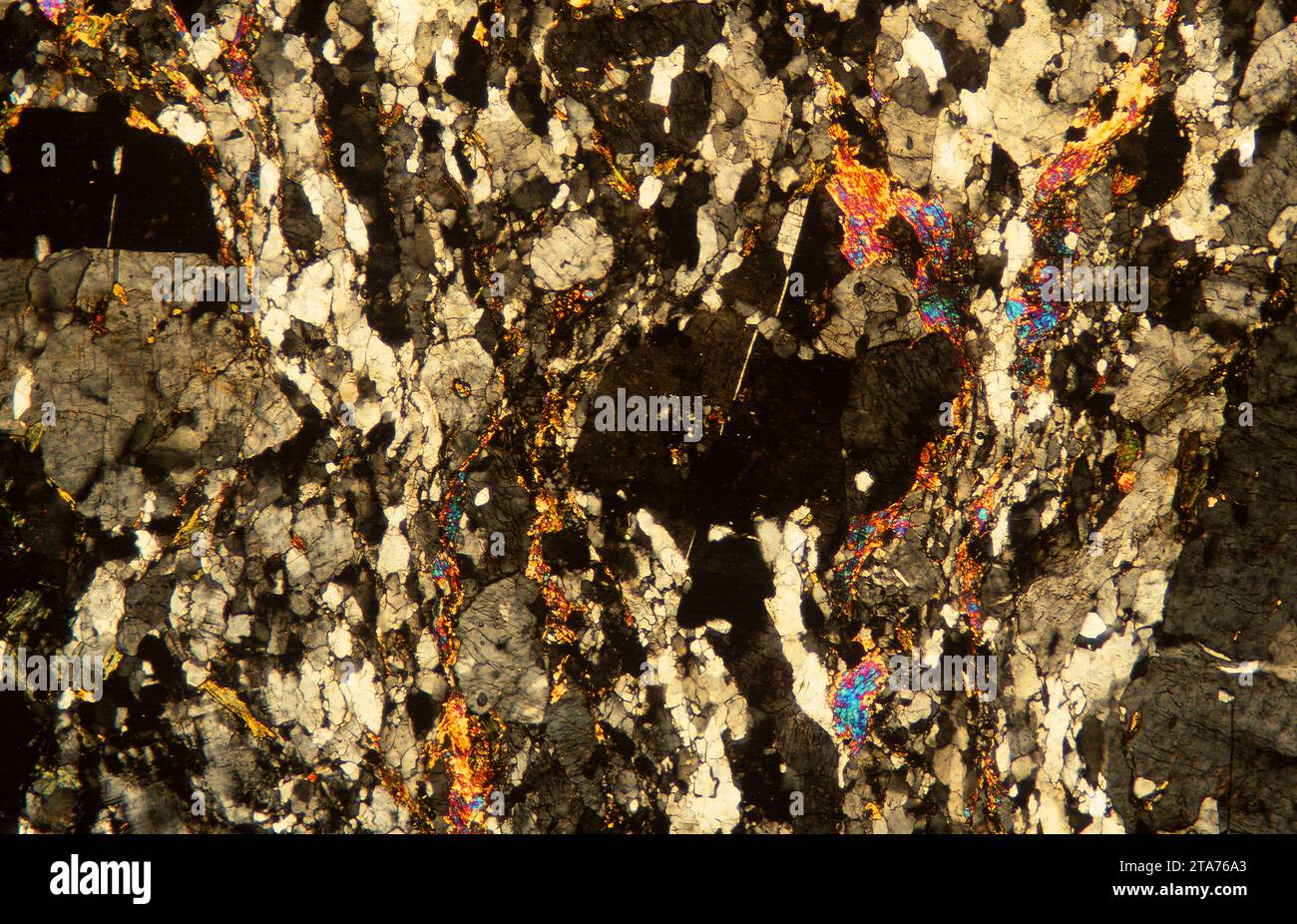 Le gneiss est une roche métamorphique à texture baguée. Photomicrographe, section mince, lumière polarisée. Banque D'Images