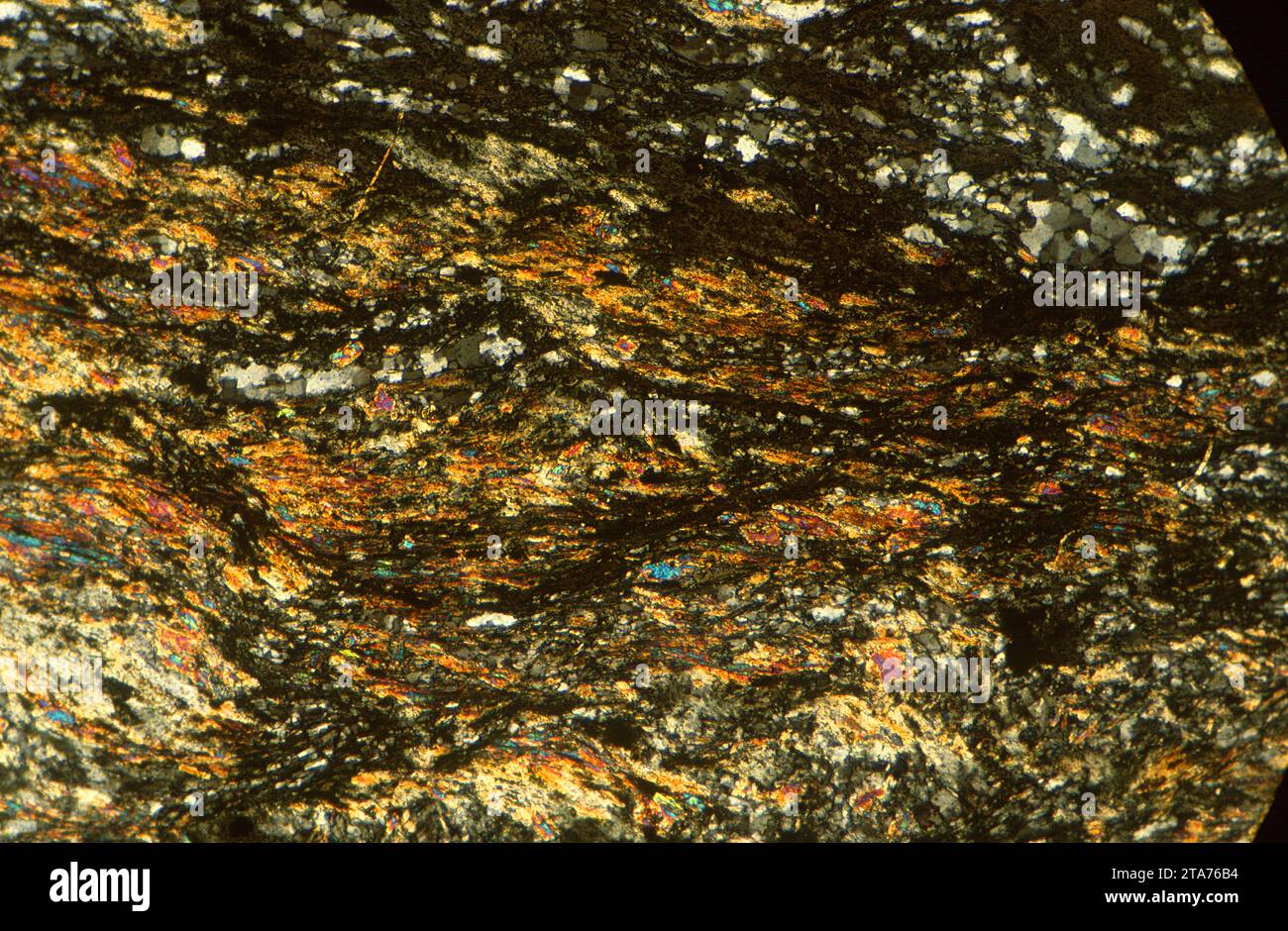 La granulite est une roche métamorphique de haute qualité. Photomicrographe, section mince, lumière polarisée. Banque D'Images