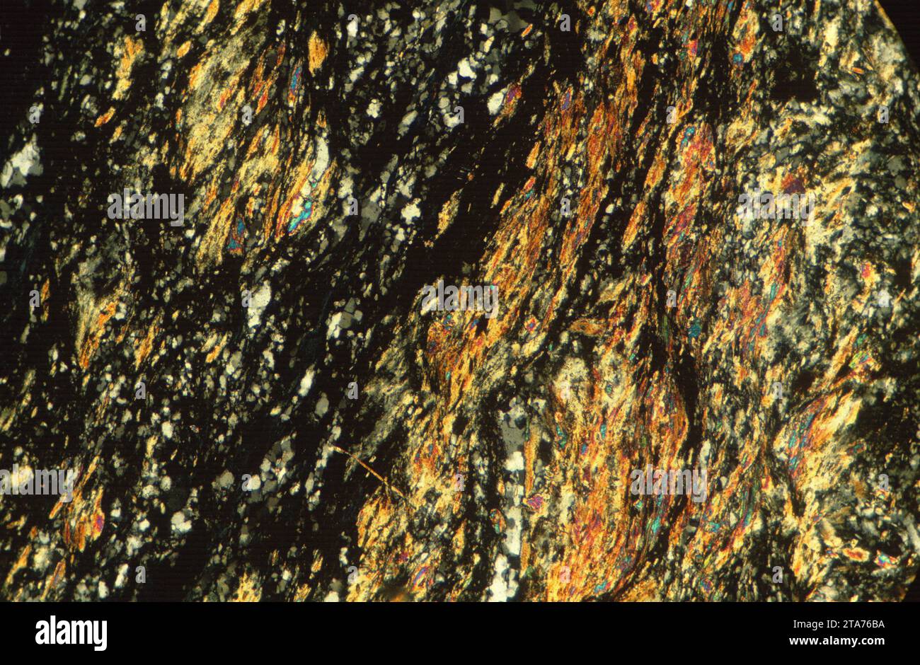 La granulite est une roche métamorphique de haute qualité. Photomicrographe, section mince, lumière polarisée. Banque D'Images