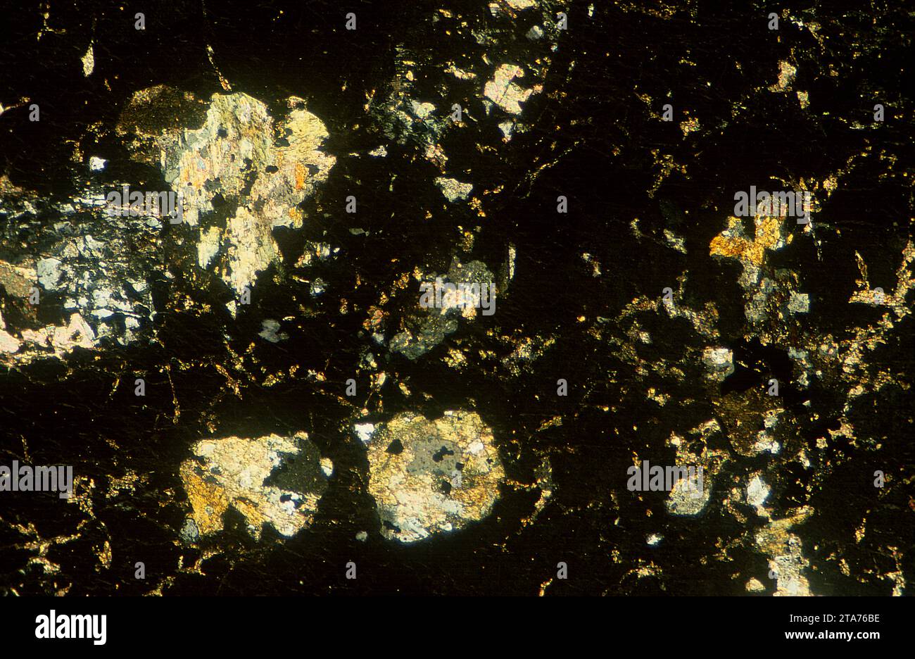 Le grossular est un silicate de calcium et d'aluminium. Photomicrographe, section mince, lumière polarisée. Banque D'Images