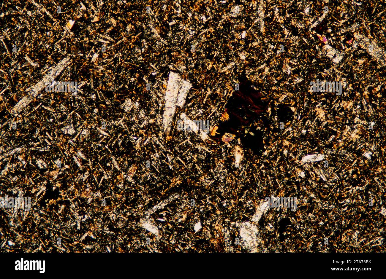 Le lamprophyre est une roche ignée ultrapotassique qui apparaît sous forme de digues. Photomicrographe, section mince, lumière polarisée. Banque D'Images