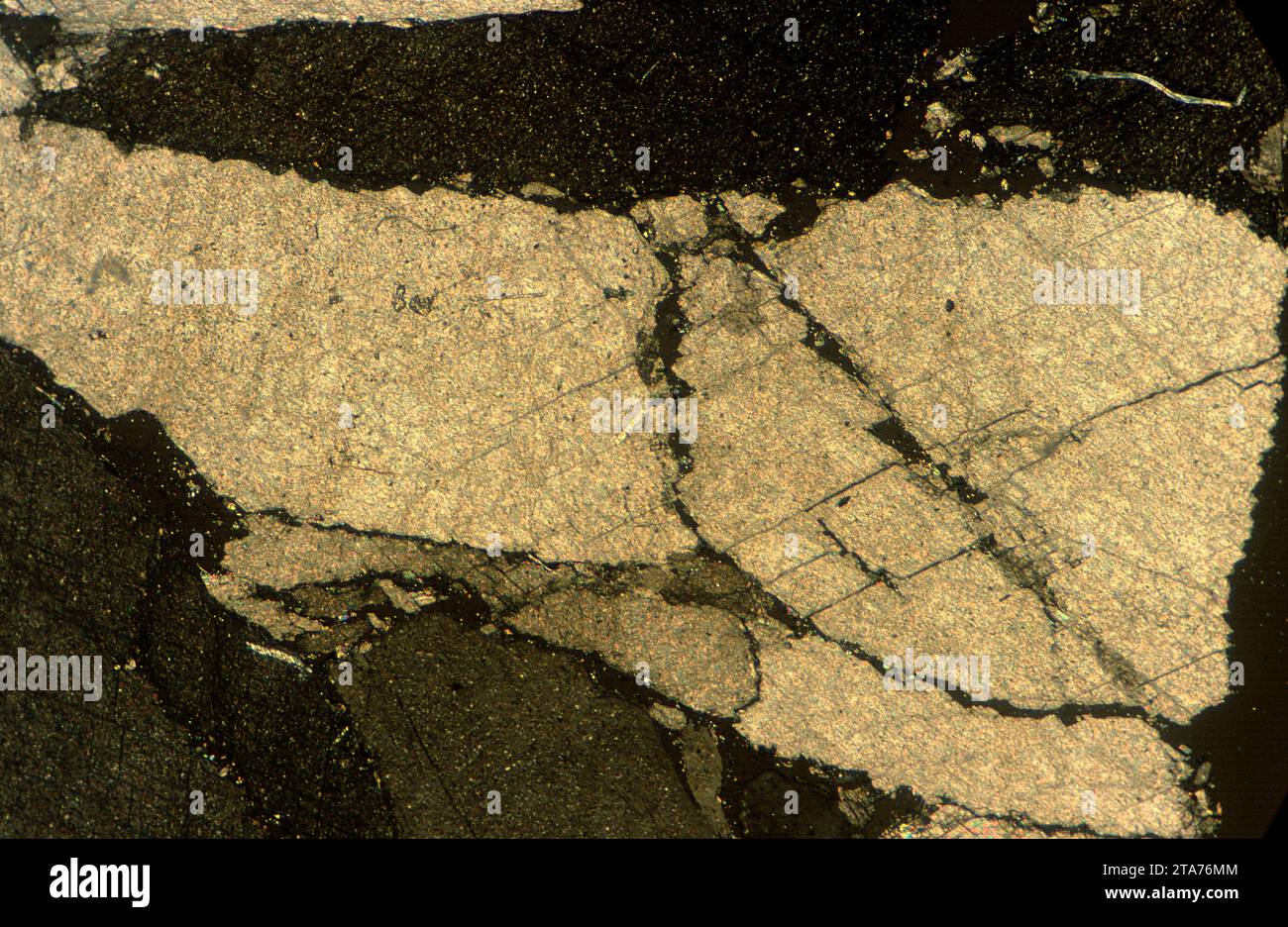 La magnésite est un minéral de carbonate de magnésium. Photomicrographe, section mince, lumière polarisée. Banque D'Images