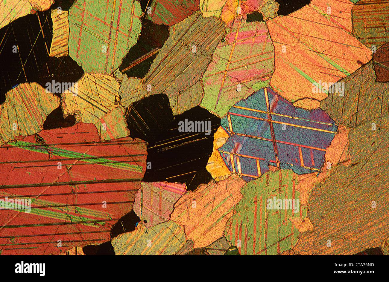 Le marbre est une roche métamorphique composée de carbonate de calcium. Photomicrographe, section mince, lumière polarisée. Banque D'Images