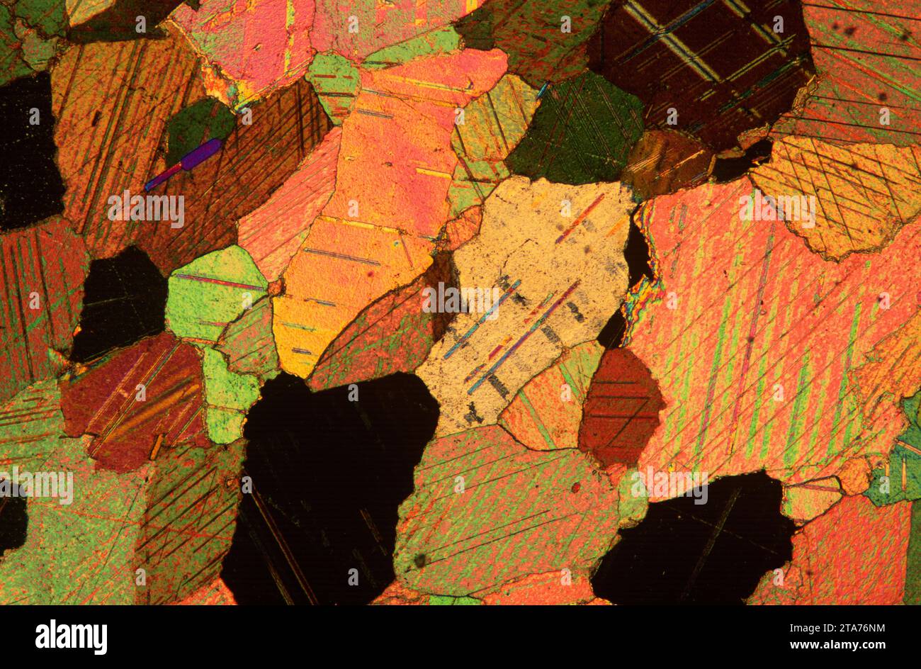 Le marbre est une roche métamorphique composée de carbonate de calcium. Photomicrographe, section mince, lumière polarisée. Banque D'Images