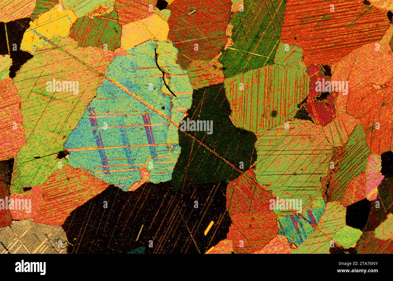 Le marbre est une roche métamorphique composée de carbonate de calcium. Photomicrographe, section mince, lumière polarisée. Banque D'Images