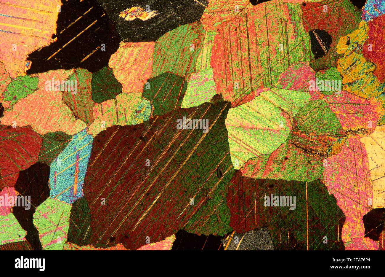 Le marbre est une roche métamorphique composée de carbonate de calcium. Photomicrographe, section mince, lumière polarisée. Banque D'Images