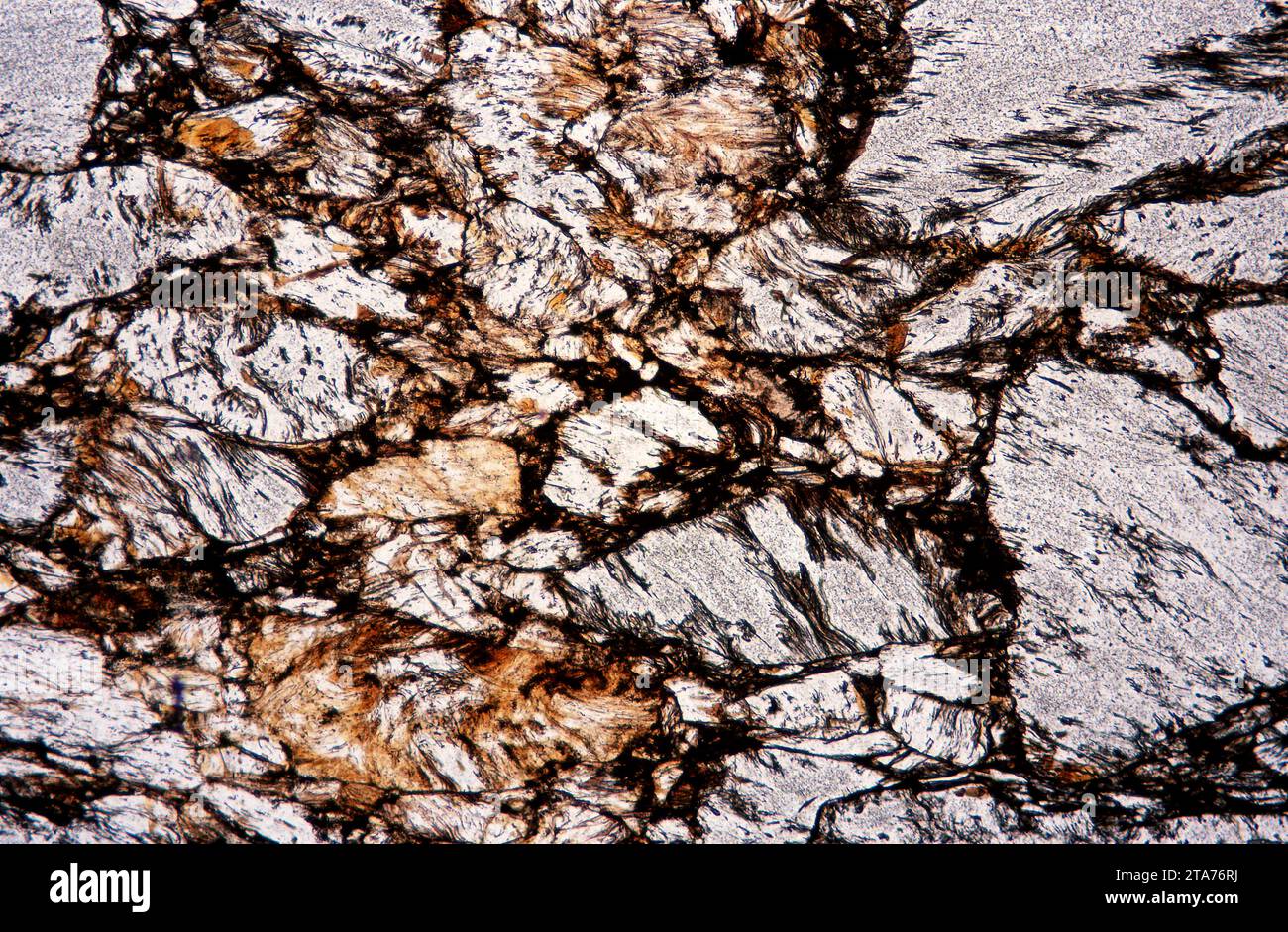 L'obsidienne est un verre volcanique. Photomicrographe, section mince, lumière polarisée. Banque D'Images
