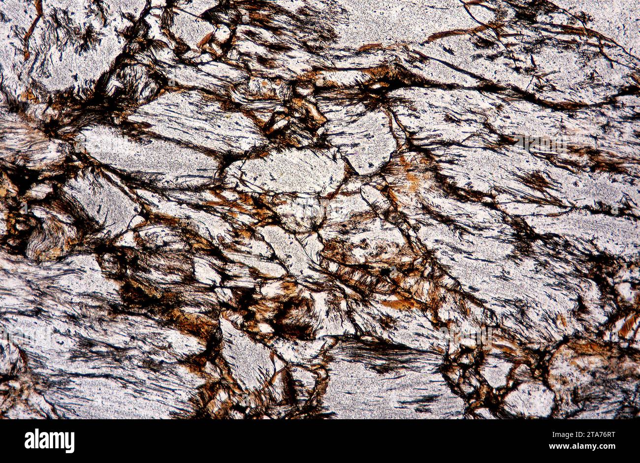 L'obsidienne est un verre volcanique. Photomicrographe, section mince, lumière polarisée. Banque D'Images