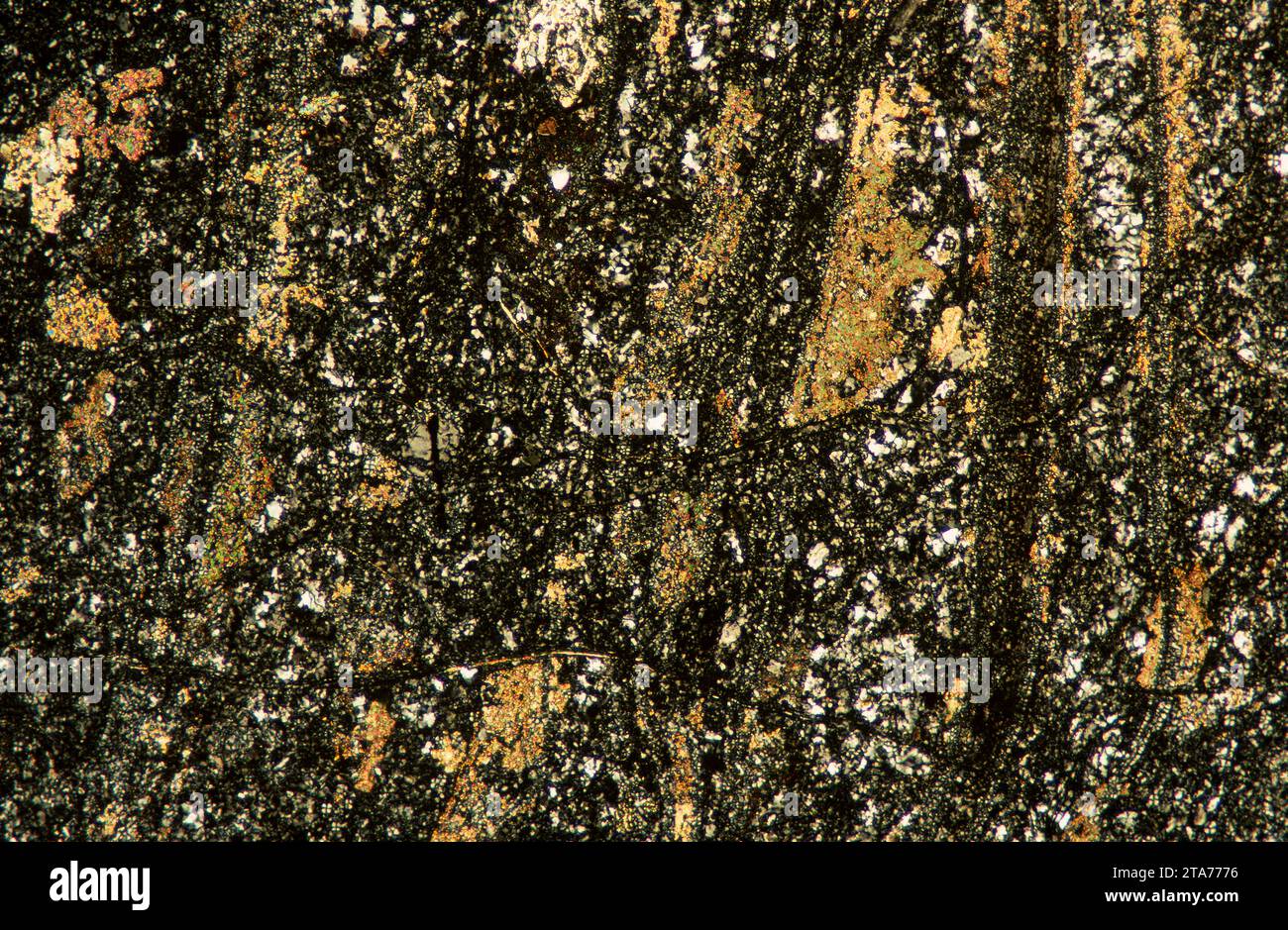 La rhyolite est une roche volcanique équivalente au granite intrusif. Photomicrographe, section mince, lumière polarisée. Banque D'Images