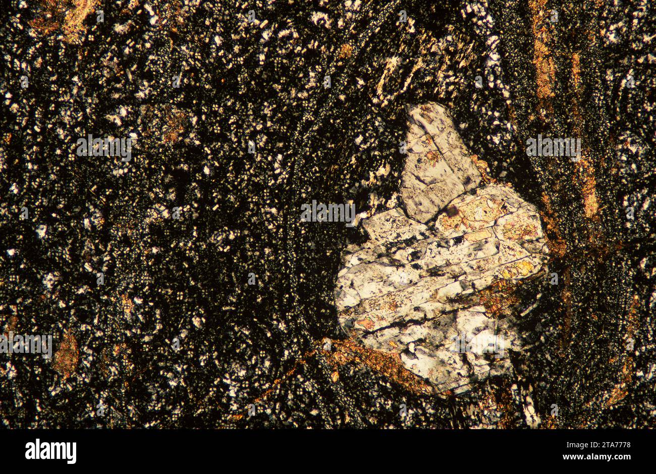 La rhyolite est une roche volcanique équivalente au granite intrusif. Photomicrographe, section mince, lumière polarisée. Banque D'Images