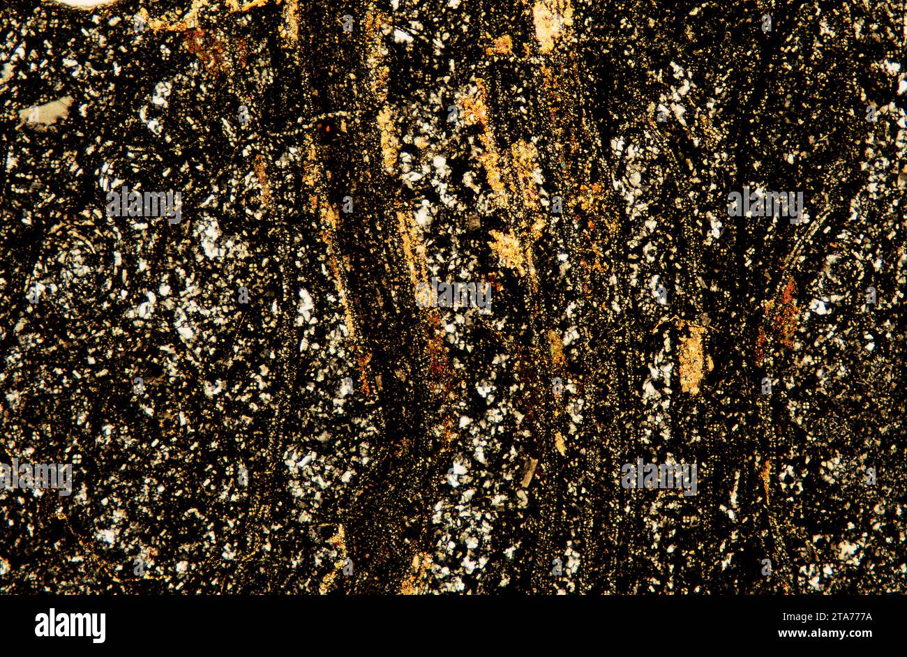 La rhyolite est une roche volcanique équivalente au granite intrusif. Photomicrographe, section mince, lumière polarisée. Banque D'Images