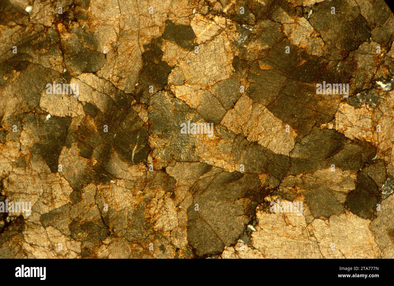 La sidérite est un minéral de carbonate de fer. Photomicrographe, section mince, lumière polarisée. Banque D'Images