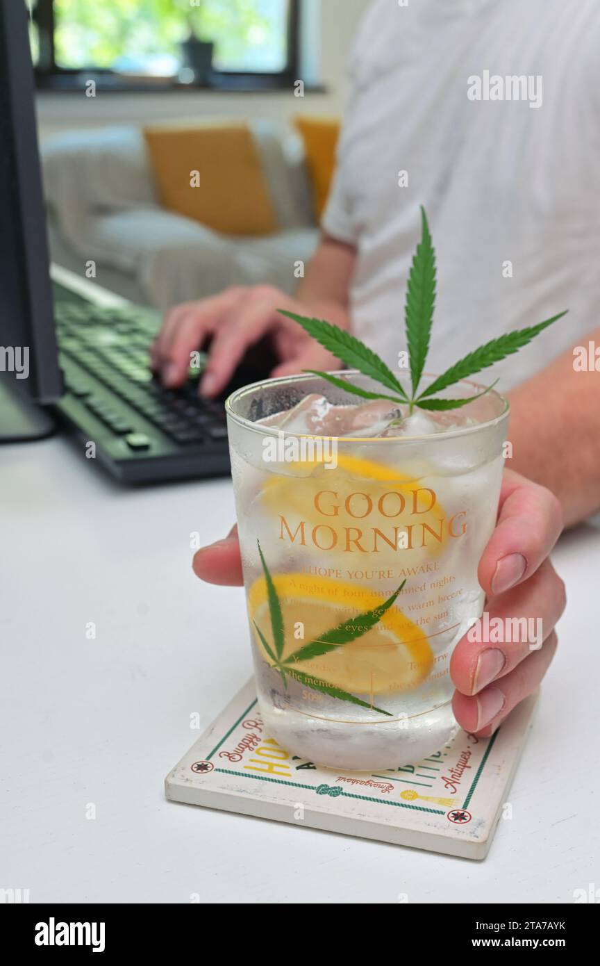 Verre de cocktail frais avec des tranches de citron et des feuilles de chanvre au travail Banque D'Images