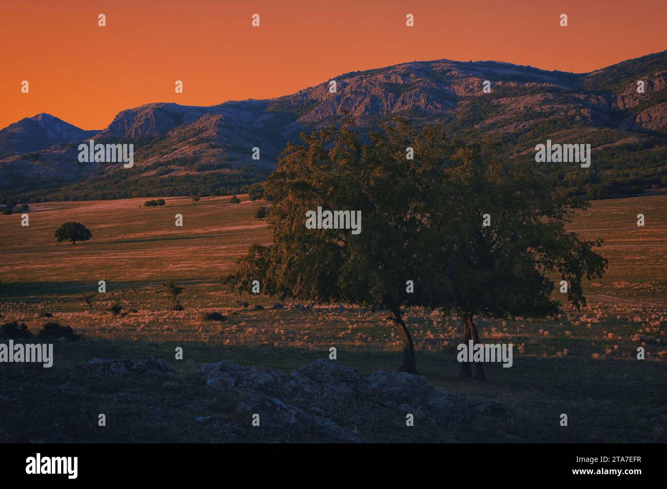 Été dans les montagnes de Macin, Roumanie au coucher du soleil Banque D'Images