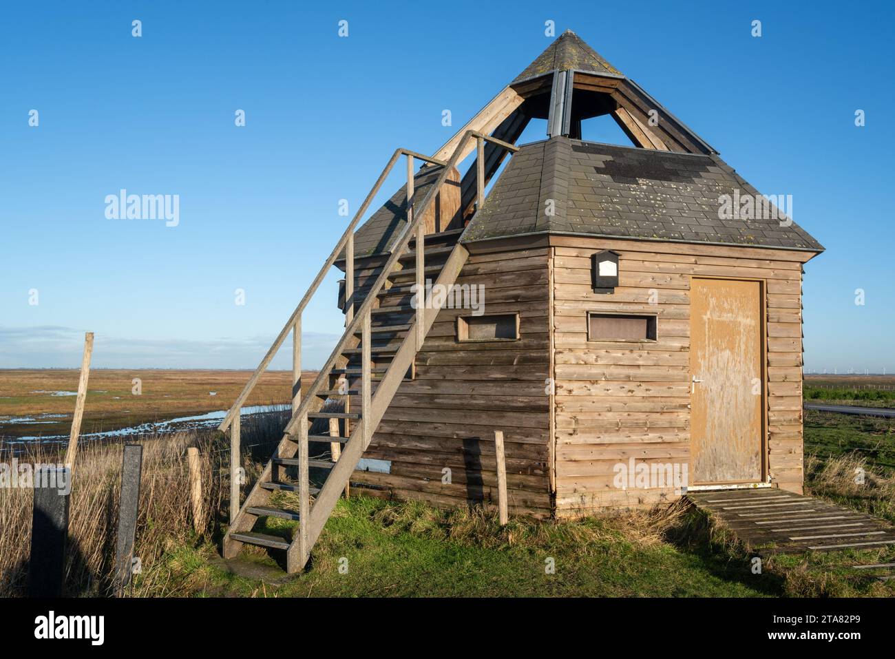 Cachette d'oiseau dans la réserve naturelle Verdronken Land van Saeftinghe, marais salé de l'estuaire de l'Escaut occidental à la frontière des pays-Bas et de la Belgique Banque D'Images