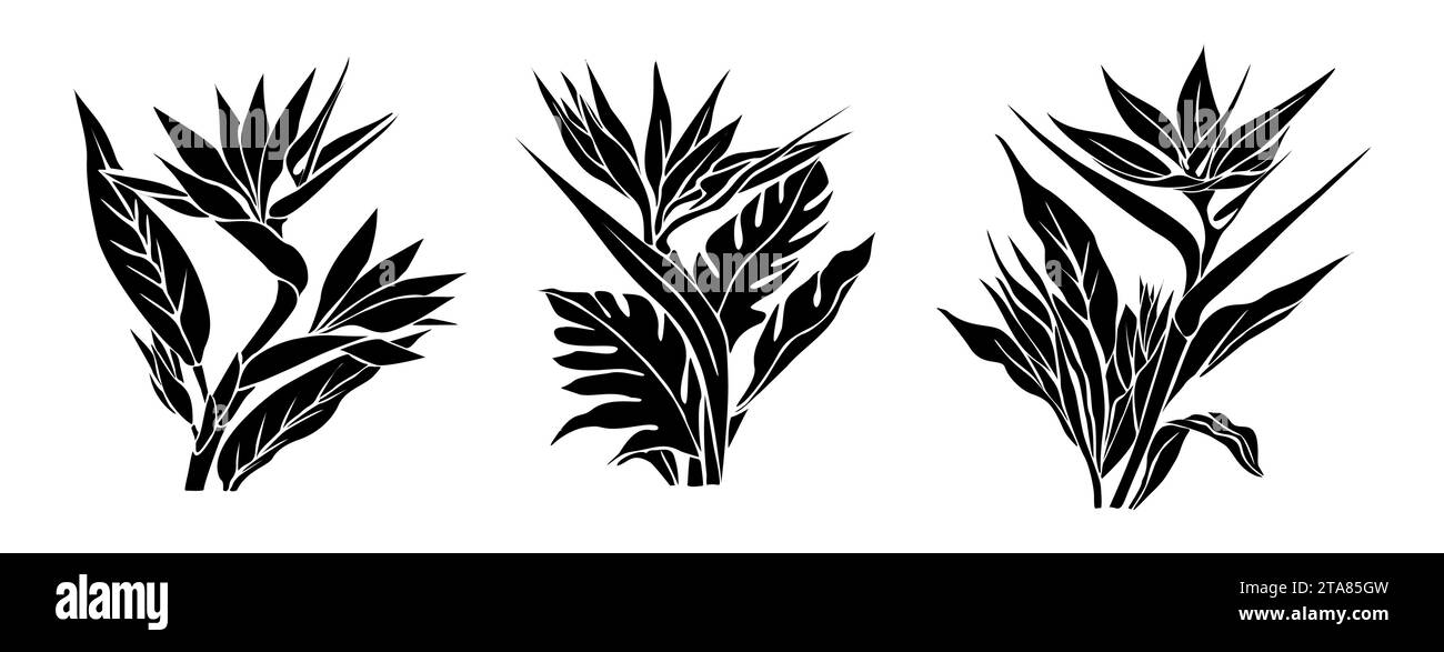 Ensemble de silhouettes de fleurs Bird of Paradise. Illustration de Vecteur