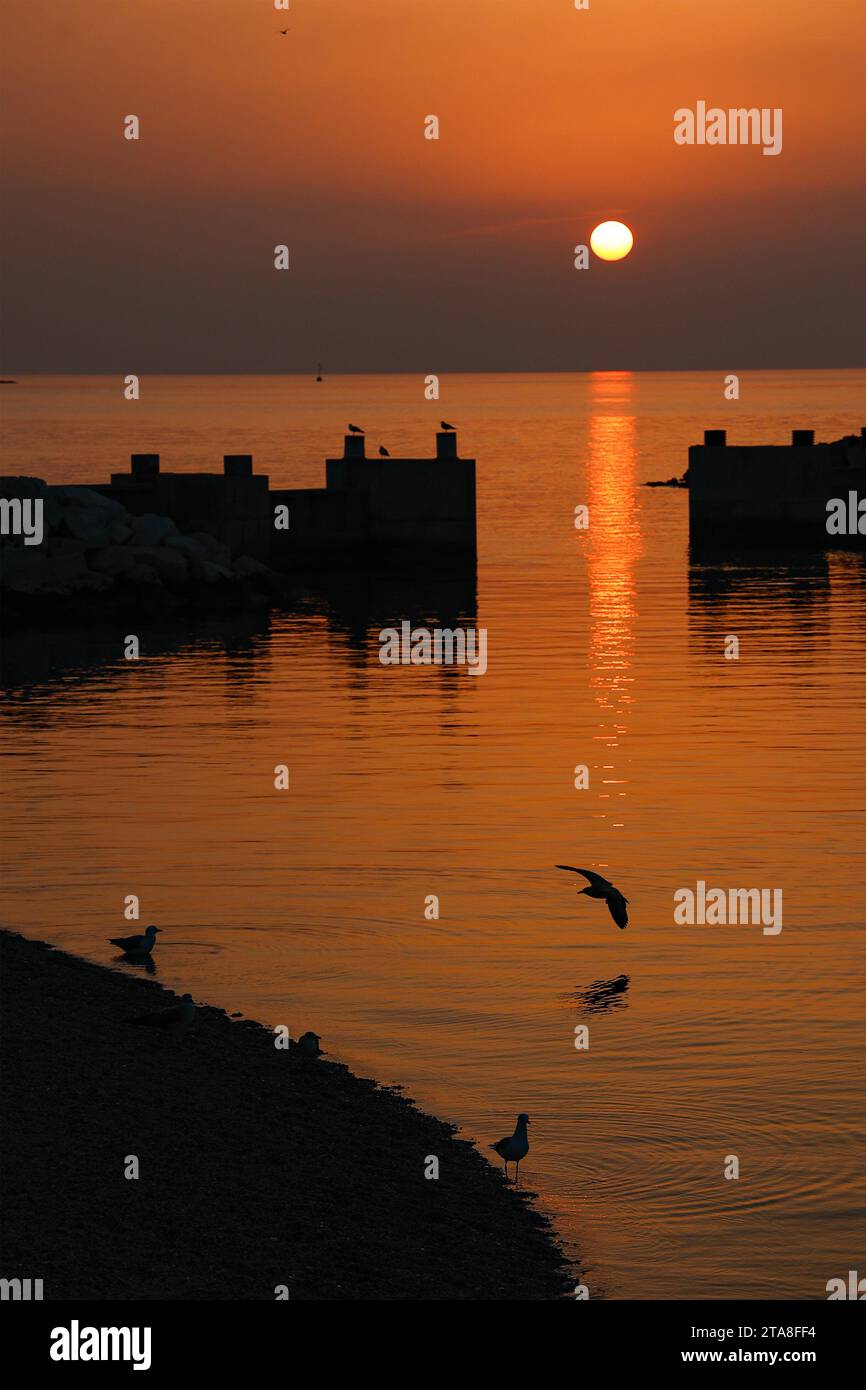 Vue sur le port au coucher du soleil, Vrsar (Orsera), Istrie, Croatie, Europe. Banque D'Images