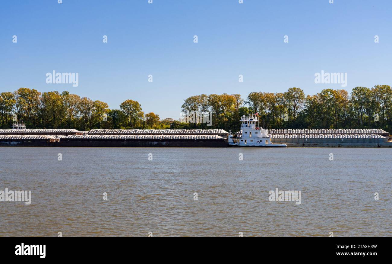 Grand remorqueur poussant des rangées de barges avec des produits céréaliers jusqu'au fleuve Mississippi au sud du Caire dans l'Illinois Banque D'Images