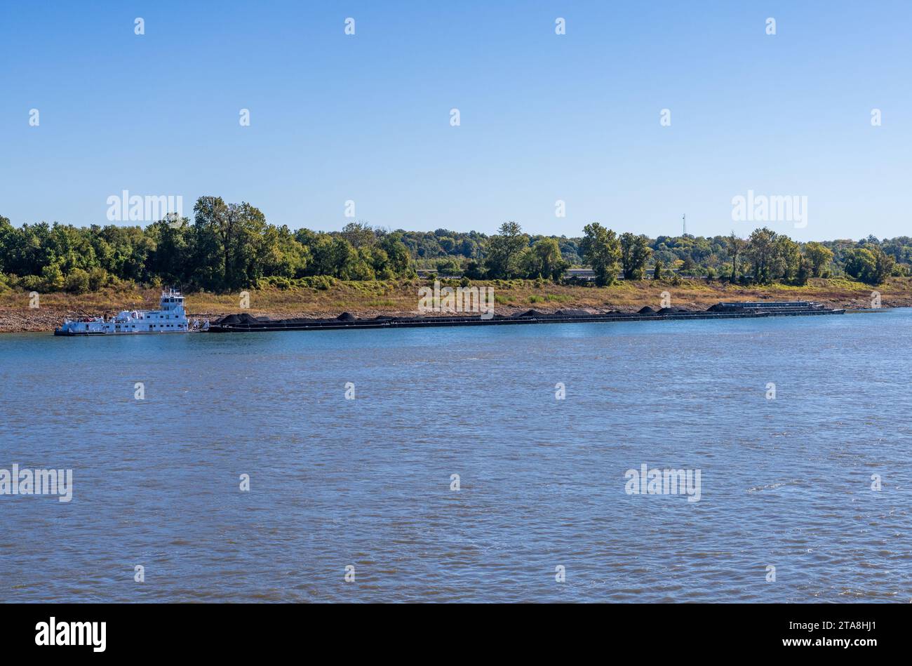 Grand remorqueur poussant des rangées de barges avec des produits du charbon le long du fleuve Mississippi au sud du Caire dans l'Illinois Banque D'Images