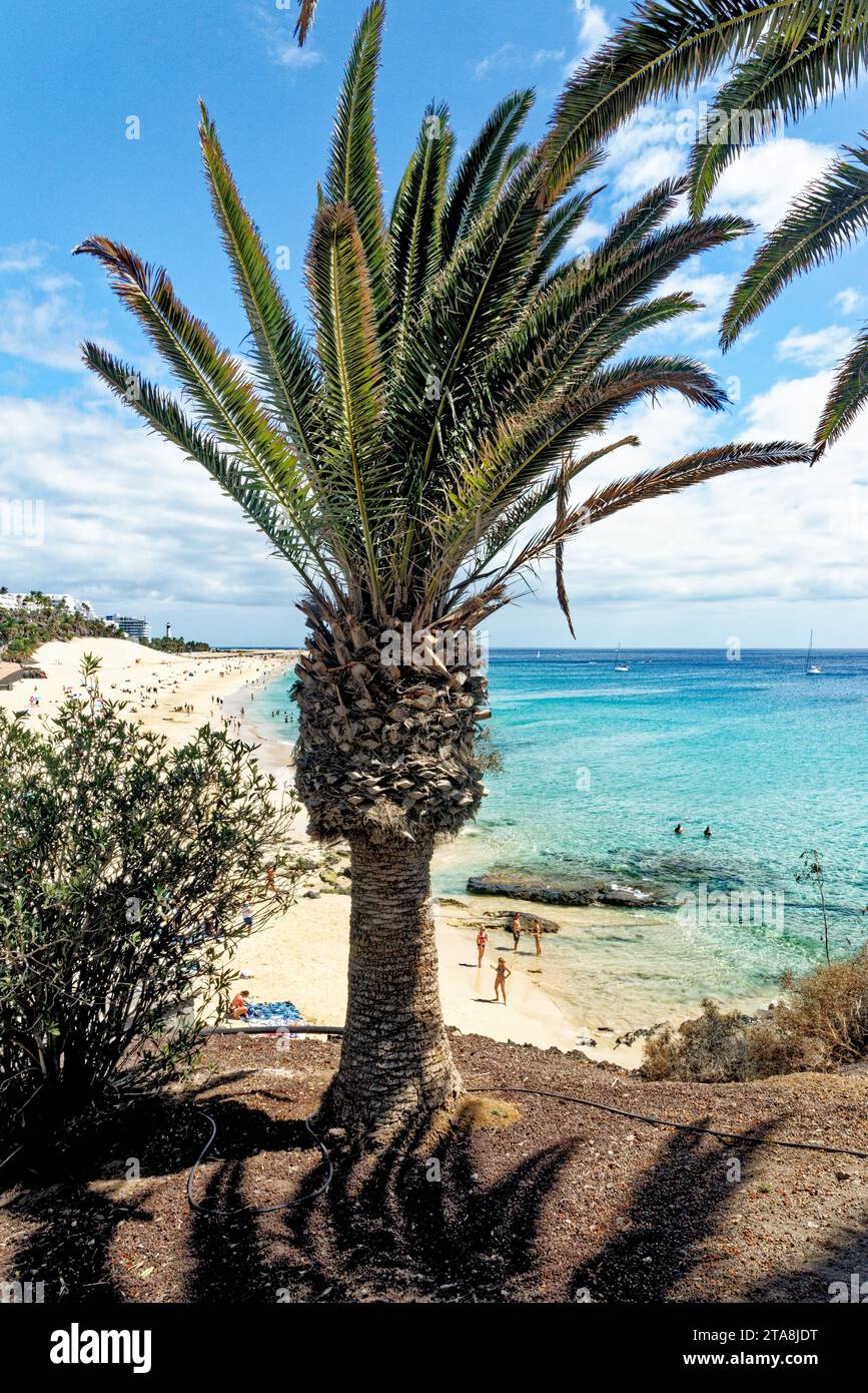 Plage en Morro Jable, péninsule de Jandia, Fuerteventura, Îles Canaries, Espagne - 23.09.2023 Banque D'Images