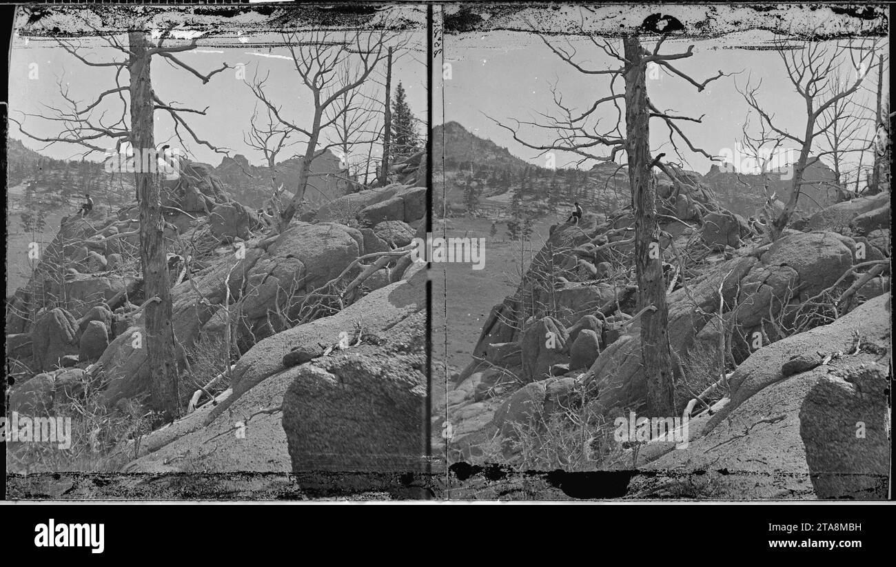 Vue près de la tête de Crow Creek. Comté de Laramie, Wyoming Banque D'Images