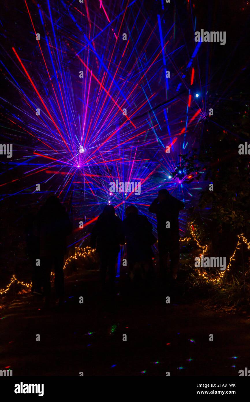 Romsey, Hampshire Royaume-Uni. 29 novembre 2023. Avant-première soirée de Light Up Trails aux jardins Sir Harold Hillier à Romsey, qui ouvrira demain avec une expérience immersive d'un kilomètre et demi créée par Light Up Trails. Réputé dans le monde entier pour ses collections d'arbres et de plantes rares, les magnifiques jardins sont vus sous un nouveau jour passionnant ce Noël alors que l'attraction touristique primée ouvre ses portes après la tombée de la nuit pour une expérience absolument magnifique avec les lumières accentuant le paysage, comme ils n'ont jamais été vus auparavant. Crédit : Carolyn Jenkins/Alamy Live News Banque D'Images