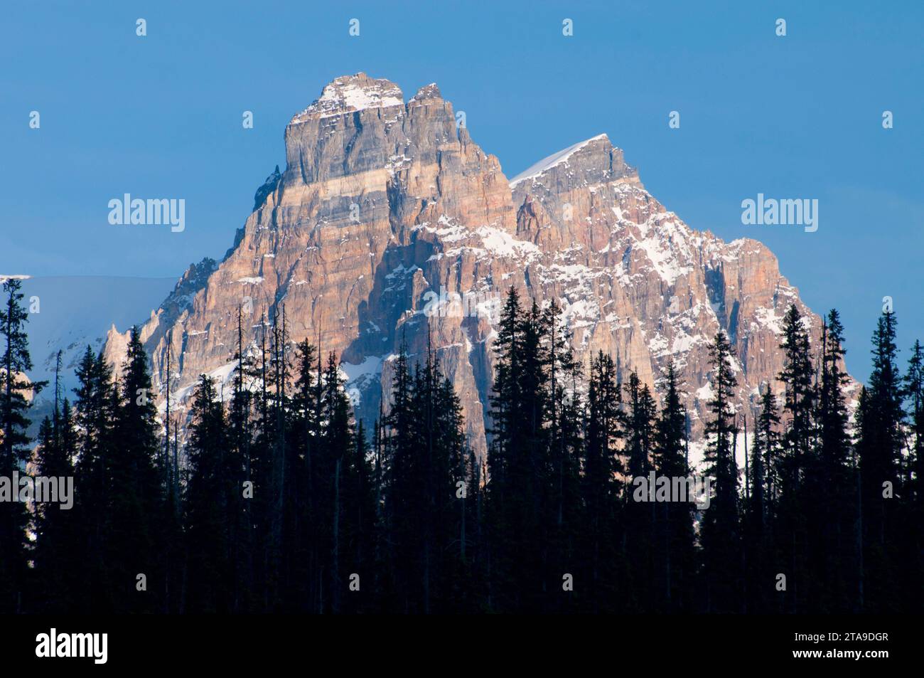 Cathedral Mountain, parc national Yoho, Colombie-Britannique, Canada Banque D'Images