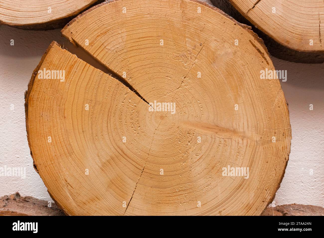 Gros plan rond arbre annuel fissuré texture anneau brun matériau de fond bois cassé dommages en bois. Banque D'Images