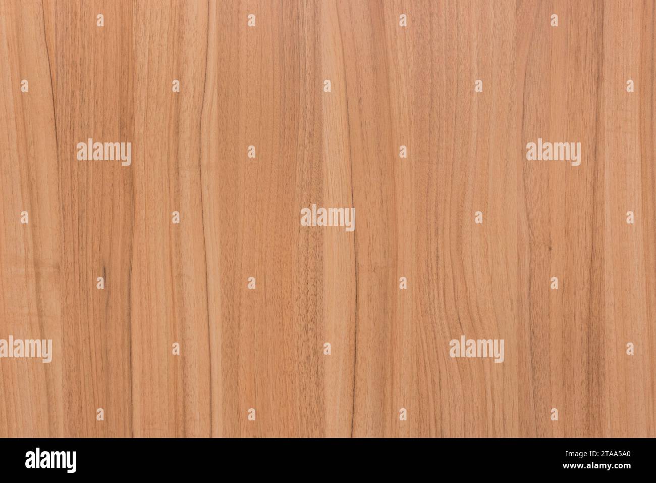 Couleur naturelle Light Abstract Pattern Table surface en bois texture de porte de plancher planche de fond en bois. Banque D'Images