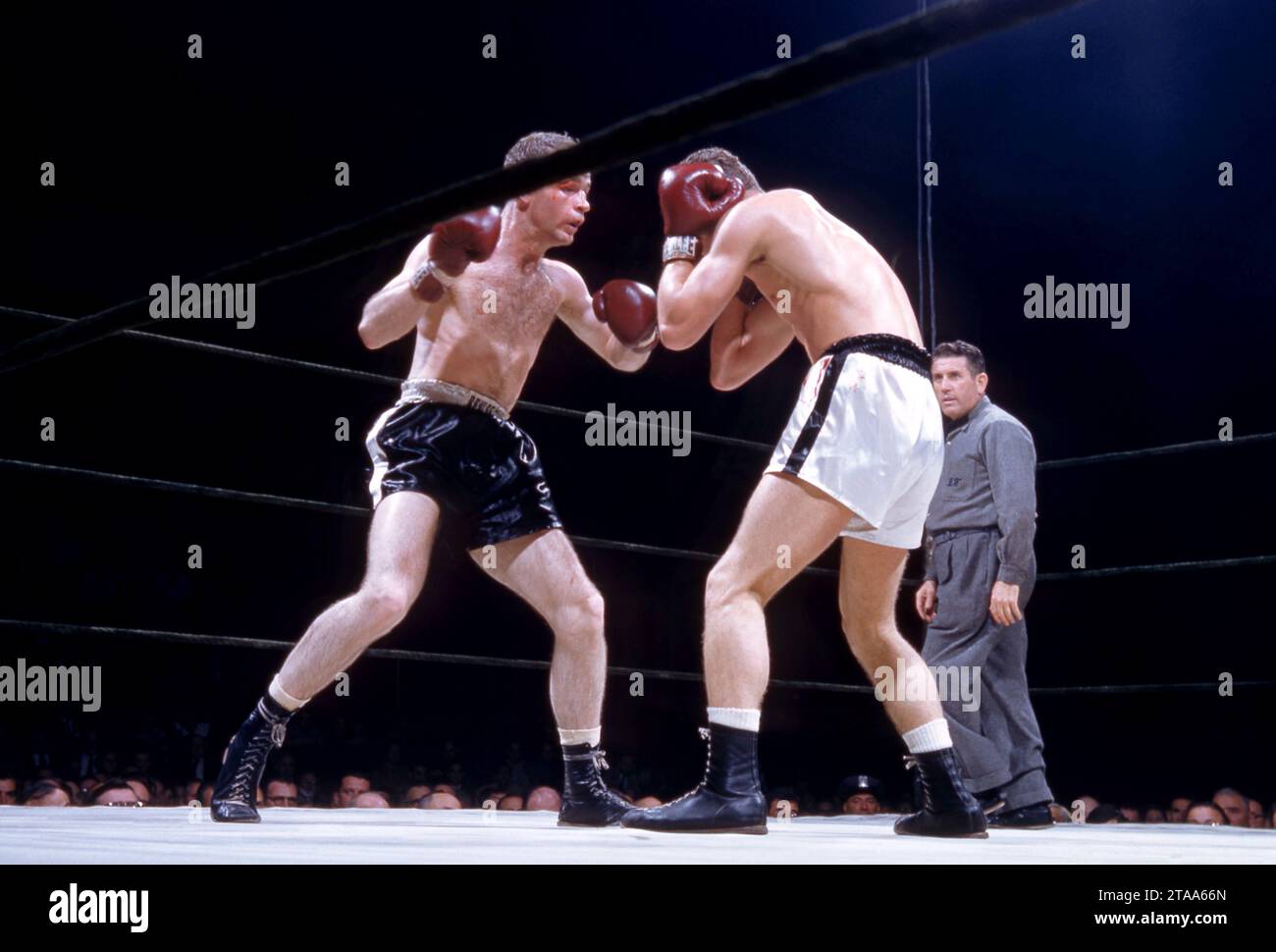 NEW YORK, NY - 1 JUIN : Frankie Ryff (malles noirs) se prépare à jeter le coup de poing à Larry Boardman (malles blancs) alors que l'arbitre Barney Felix regarde lors de leur combat léger 1956 le 1 juin 1956 au Madison Square Garden à New York, New York. (Photo de Hy Peskin) *** Légende locale *** Frankie Riff;Larry Boardman;Barney Felix Banque D'Images