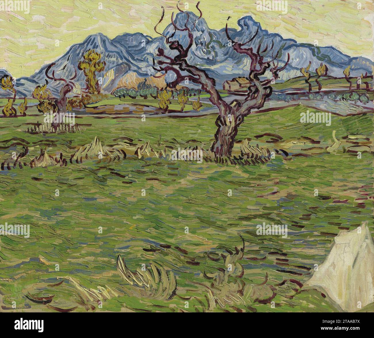 Vincent van Gogh - champs près des Alpilles (F663). Banque D'Images