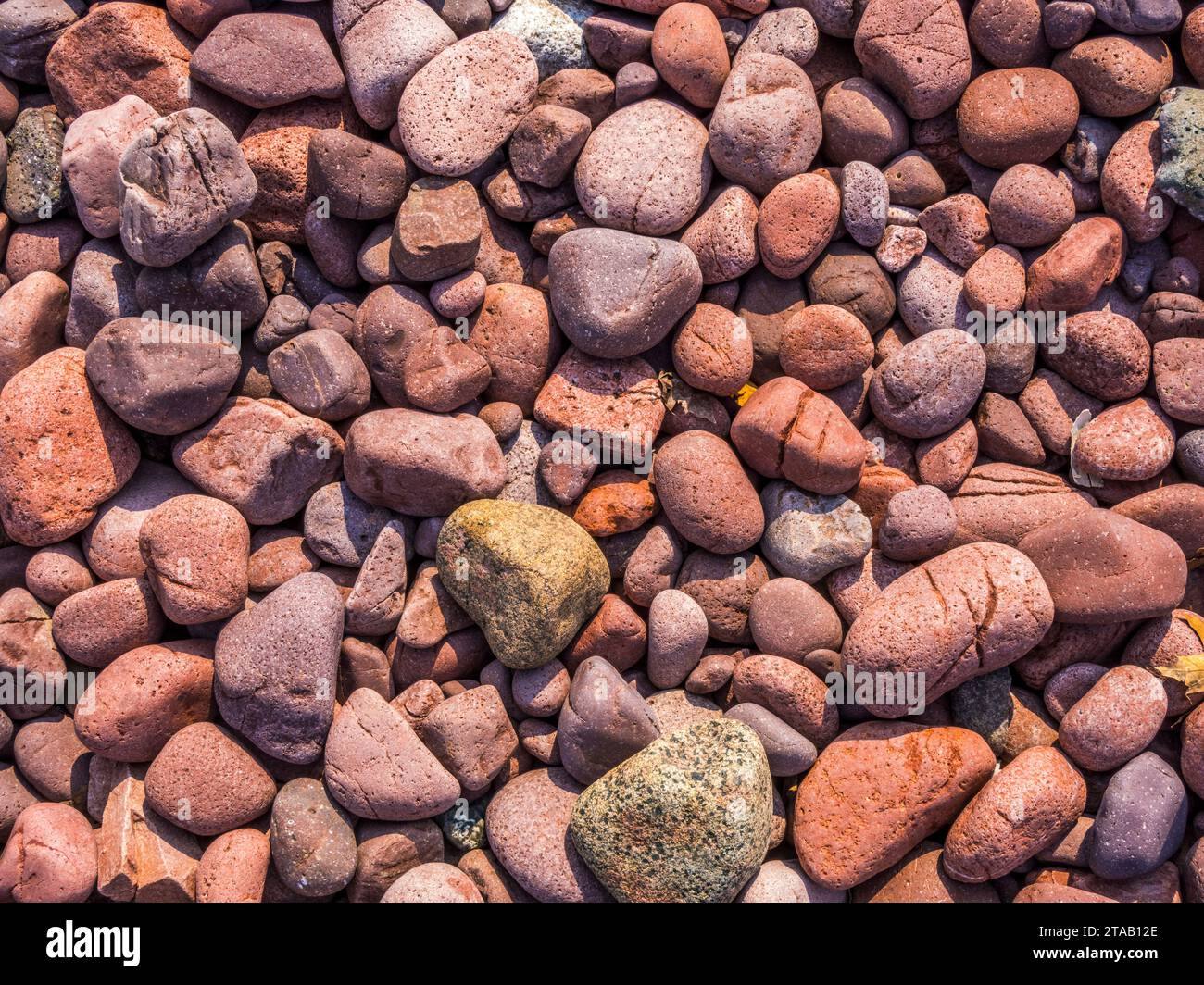 Gros plan de rochers, Michigan, USA Banque D'Images