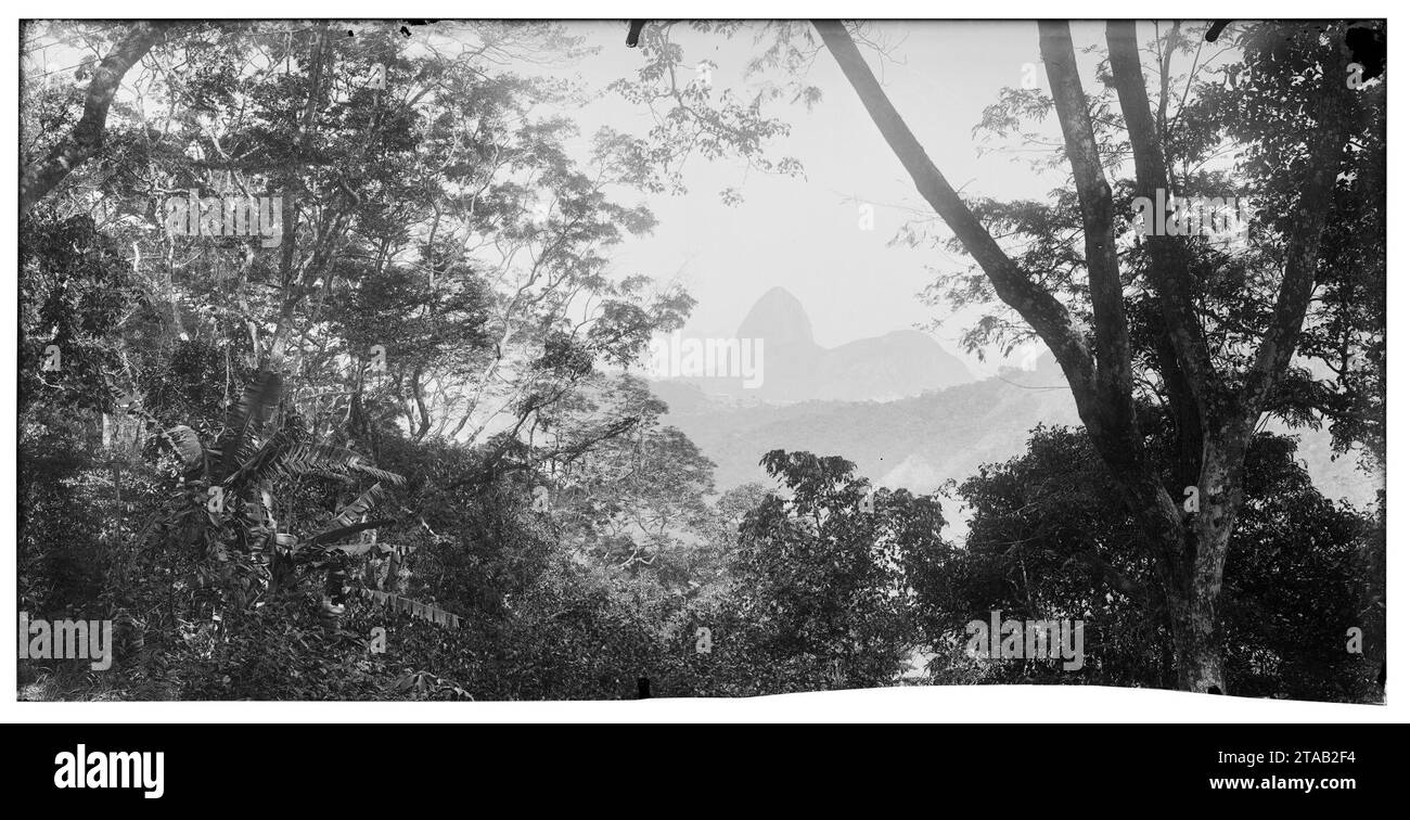 Vista do Pão de Açucar (0071530cx005-07). Banque D'Images
