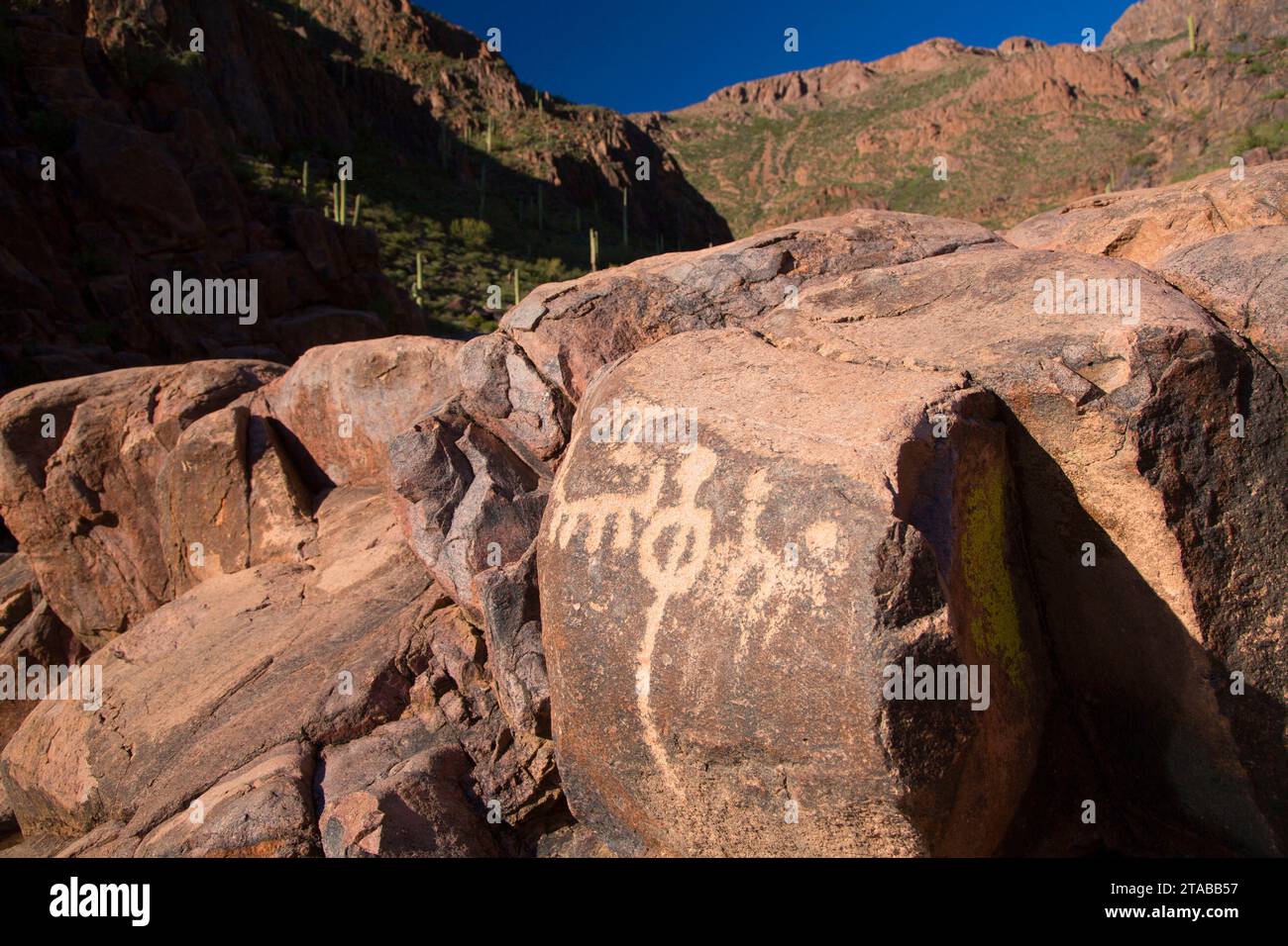 Pétroglyphes le long sentier hiéroglyphique, Superstition Désert, forêt nationale de Tonto, Arizona Banque D'Images