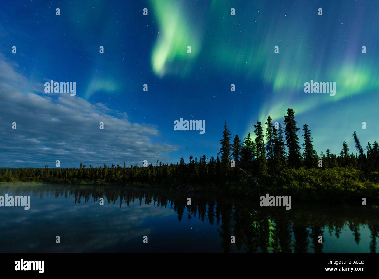 Aurora borealis au-dessus de la rivière Maclaren, Alaska Banque D'Images